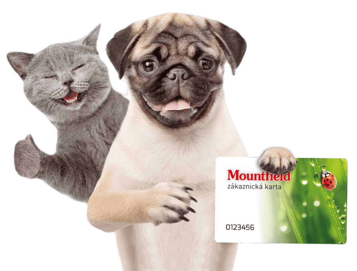 mountfield vernostni program zakaznicka karta perfect cards opava